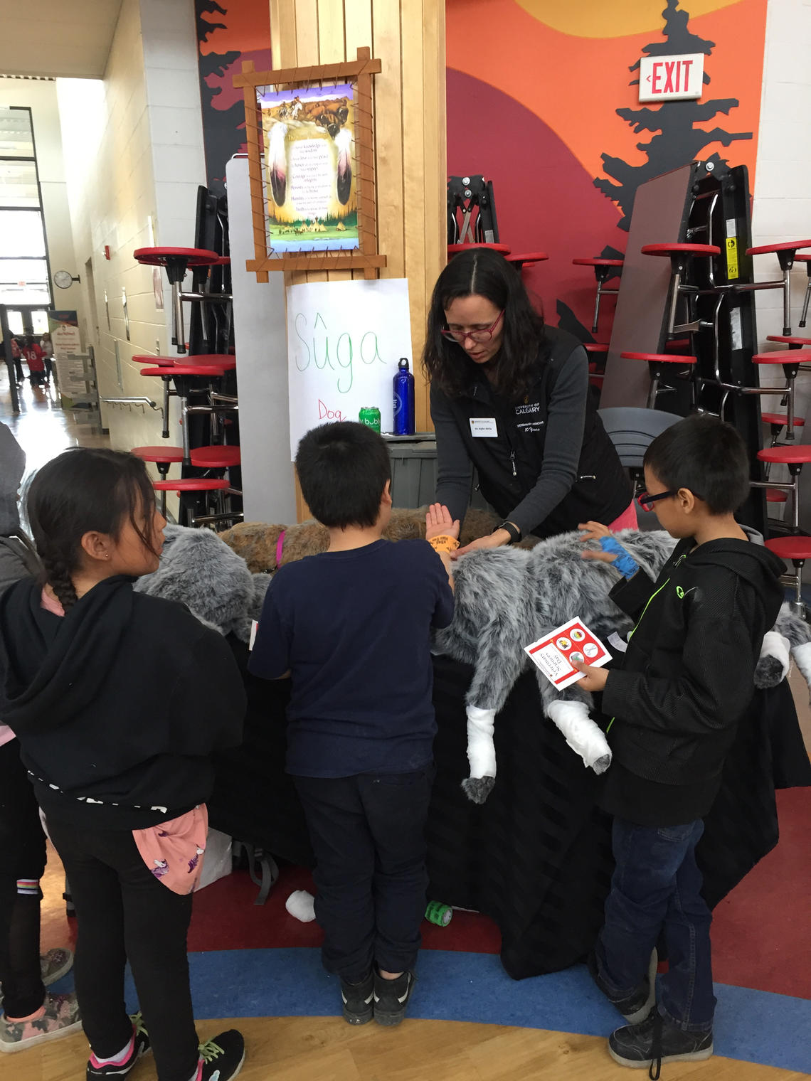 The initiative allows for two-way learning, with Stoney Nakoda students learning about veterinary science and UCVM participants learning about Stoney Nakoda culture and their perspective around animal health.