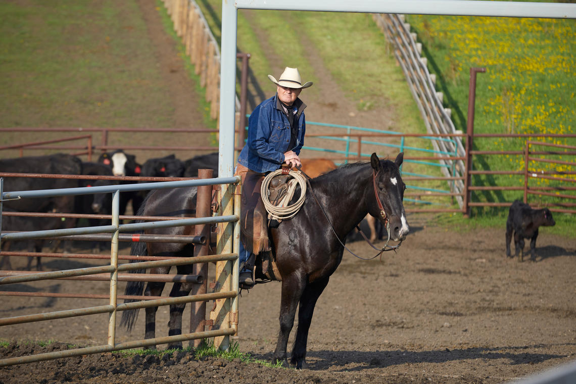 Ranch manager Matt Williams