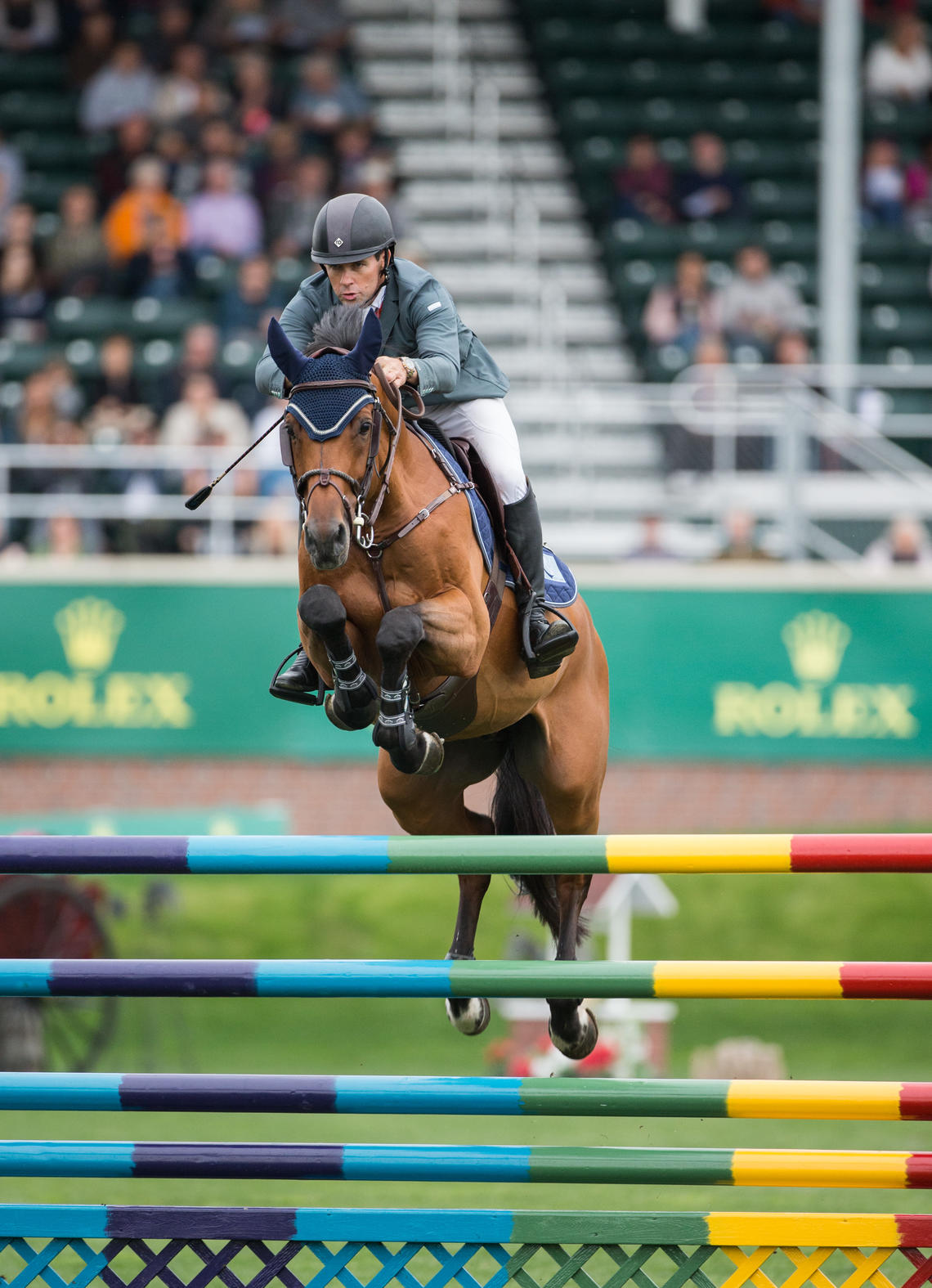 Horse jumping over a competition fence