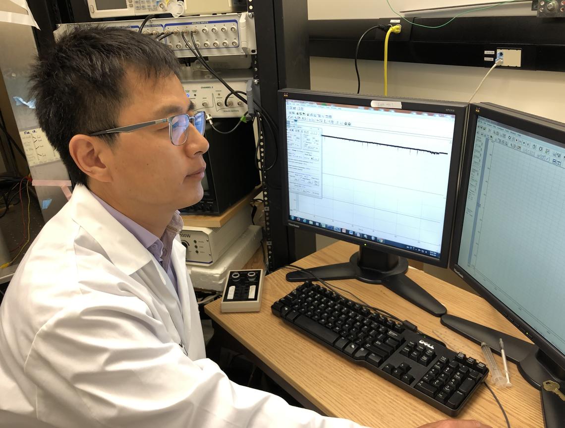Zizhen Zhang records and analyzes the activity in each brain cell.
