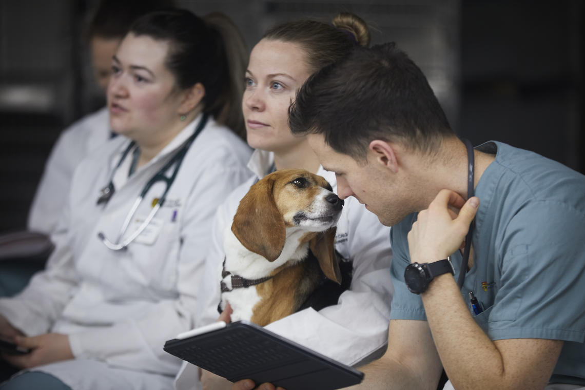 Dog and vet med student share a moment