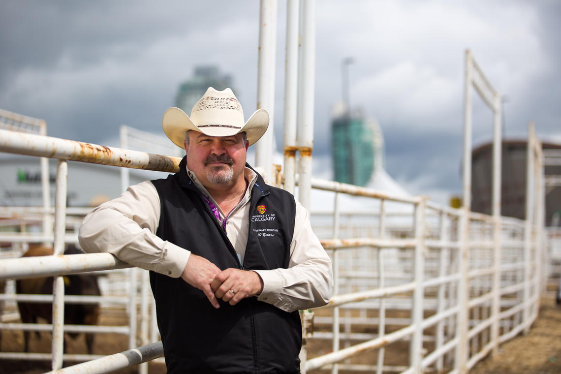 Ed Pajor has been conducting research at the Calgary Stampede for the past eight years.