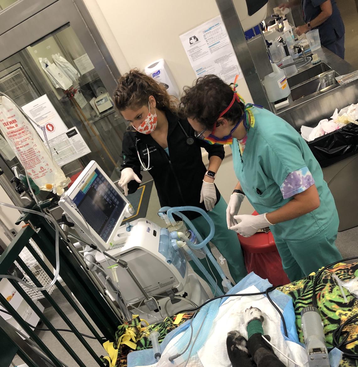 Dr. Tereza Stastny and her resident mate and trouble shoot a mechanical ventilator during her residency at Michigan State.