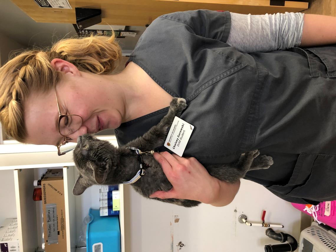 Chelsey Zurowski learned firsthand during her vet training that a commitment to self-care is vital to mental and physical wellbeing.  And cuddling kittens can't hurt. 