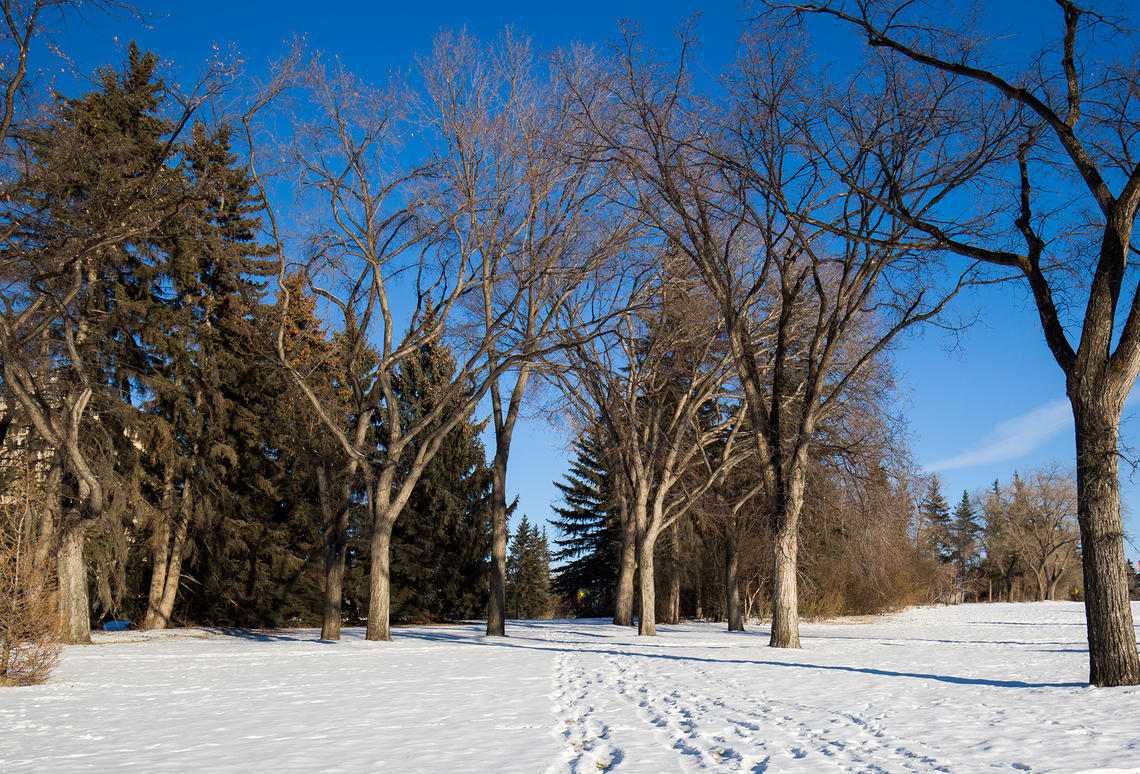 Photo of a sunny winter day at the University of Calgary campus