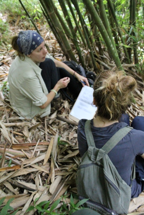 data collection during the day next to a sleeping site