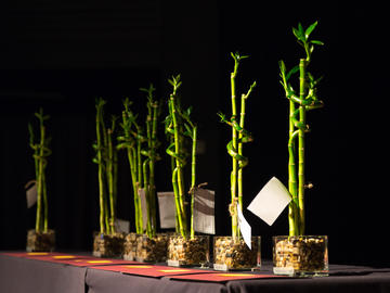 The 2019 Sustainability Award trophies