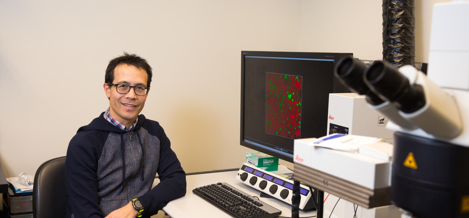 Dr. Bryan Yipp, assistant professor in the Department of Critical Care Medicine, and the associate director of the Leaders in Medicine program, is investigating the mechanisms of lung pulmonary inflammation. Photo by Riley Brandt, University of Calgary