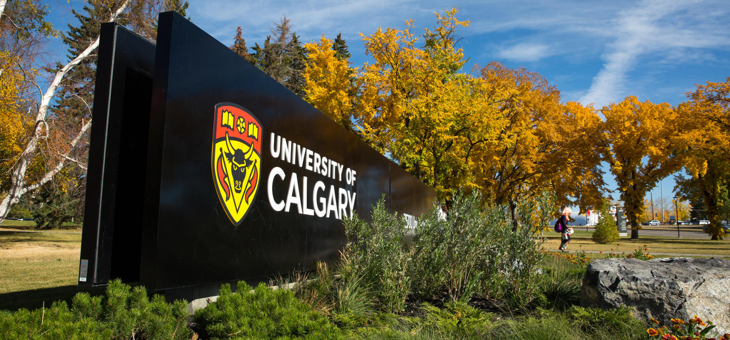 Sponsored research income at the University of Calgary continues to increase.