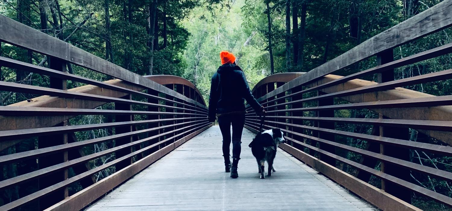 Walking the dog on a bridge