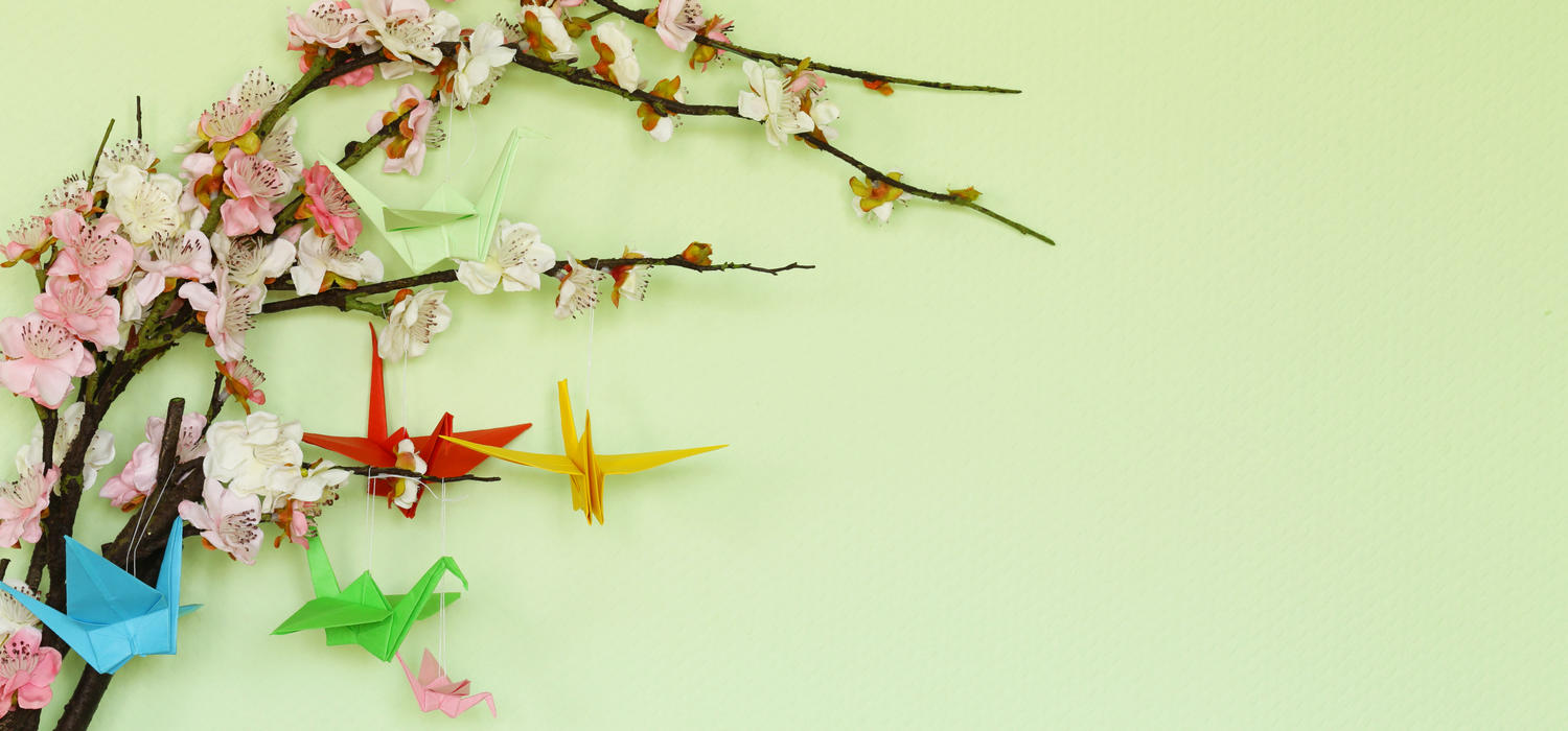 Cherry blossoms and paper cranes