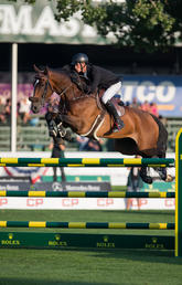 The Masters at Spruce Meadows plays host to world-class equine athletes and, this year, world-class equine researchers as well.