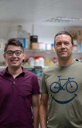 Mark Ungrin, right, and his PhD student Yang Yu engineered "pseudoislets" that are better suited for transplantation.