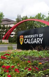 UCalgary ranked 128th in the world by Leiden University