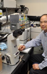 Dr. Wayne Chen, PhD, in his lab