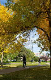 University of Calgary campus in fall