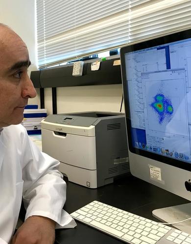 Dr. Wagdi Almishri in the Swain lab, studying how mirtazapine can benefit the liver.