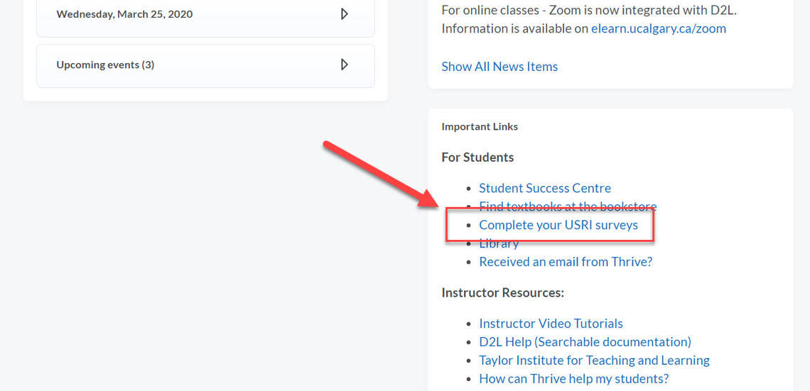 D2L USRI access