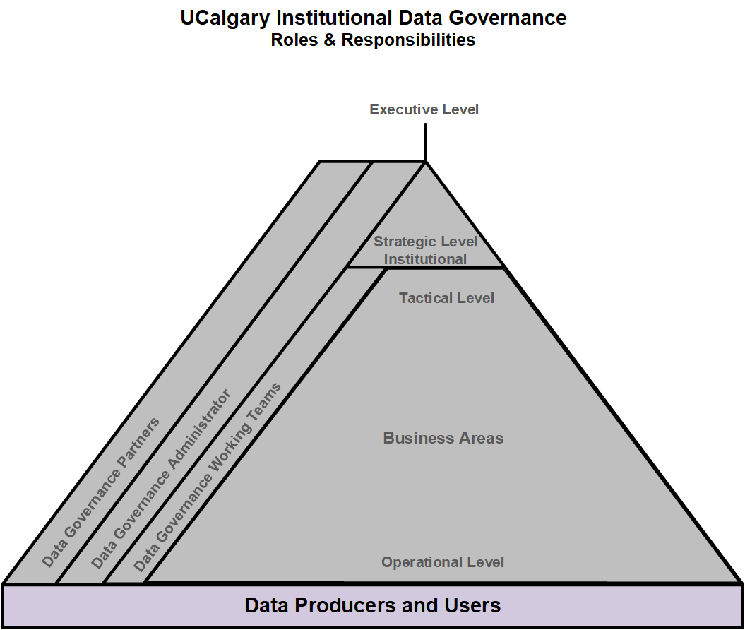 IDG Pyramid - Data Producers and Users