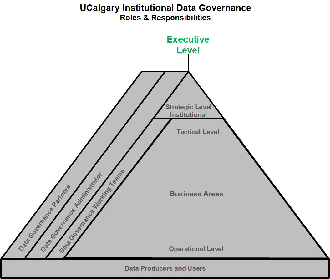 IDG Pyramid - Executive Level
