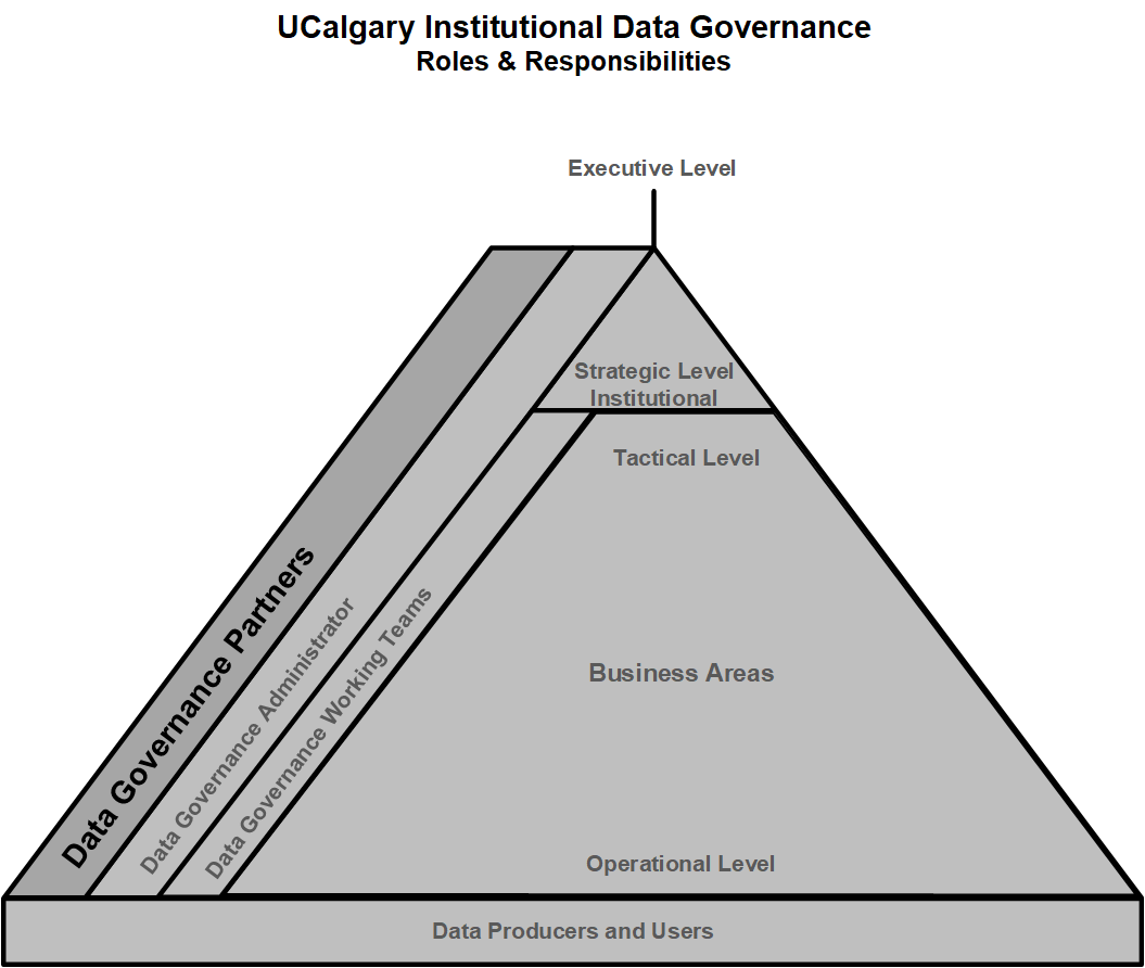 IDG Pyramid - Data Governance Partners