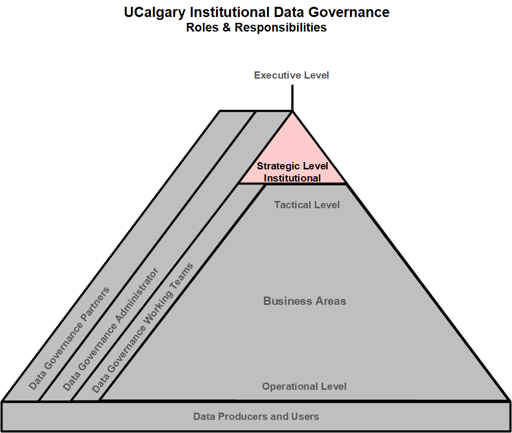 IDG Pyramid - Strategic Level