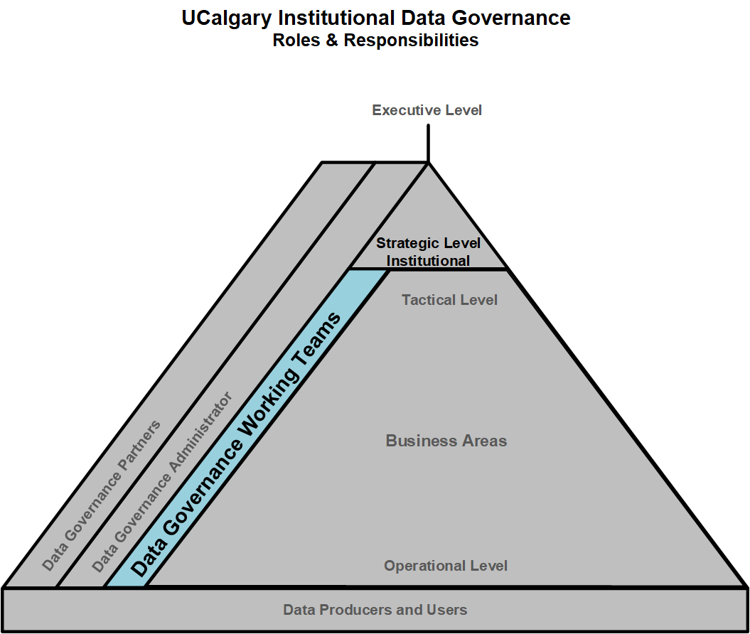 IDG Pyramid - Data Governance Working Teams