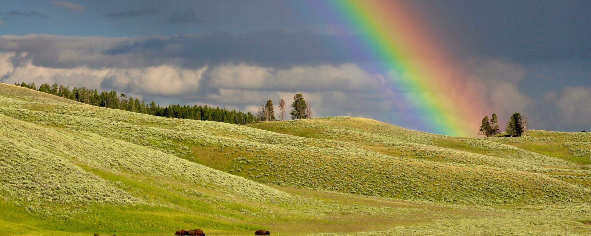Photo by Todd Cravens