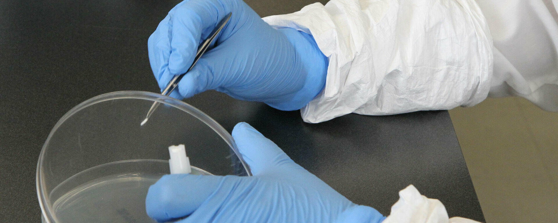 Lab