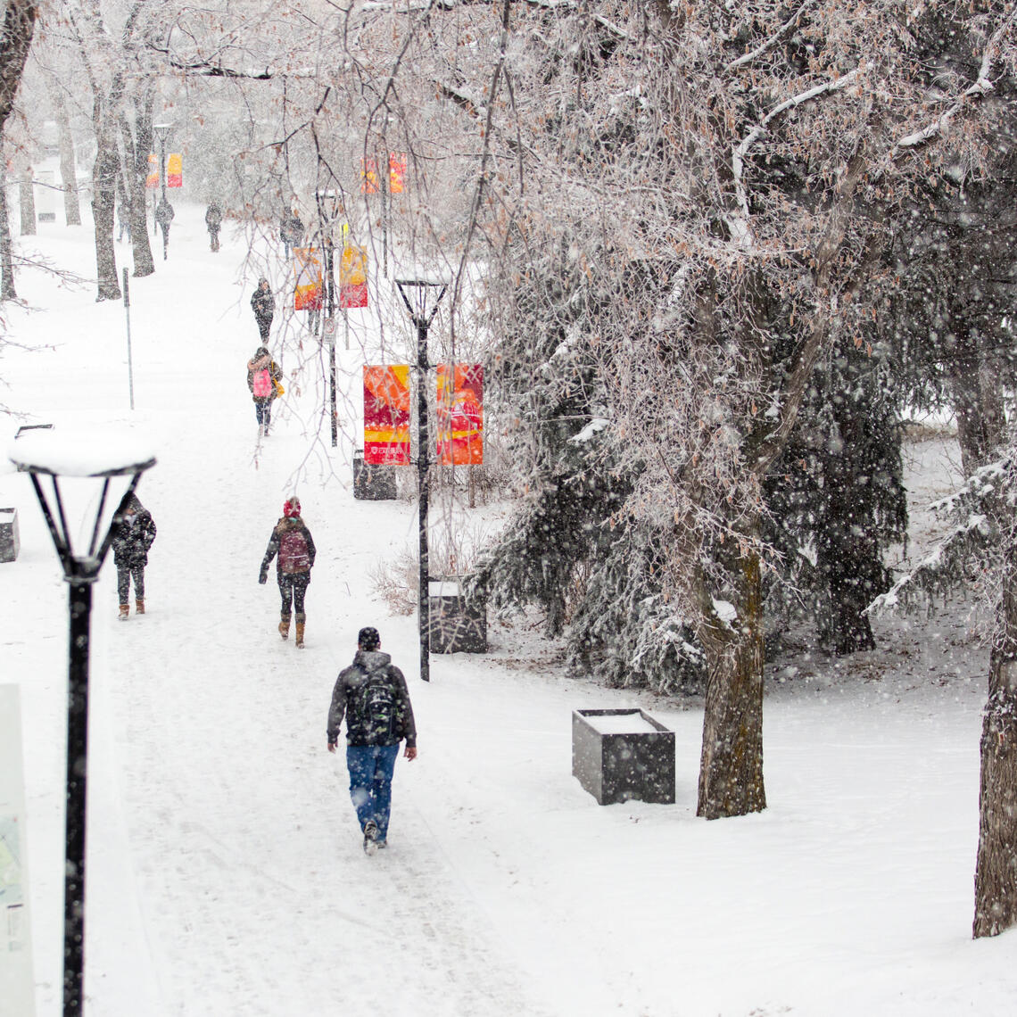 Winter Storm