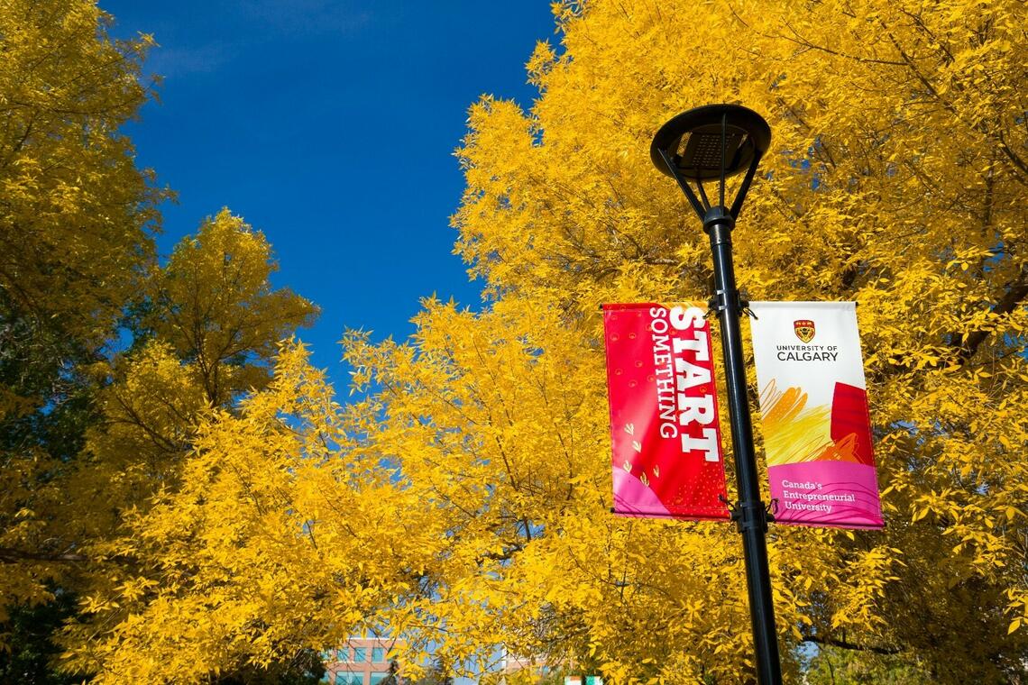 University of Calgary