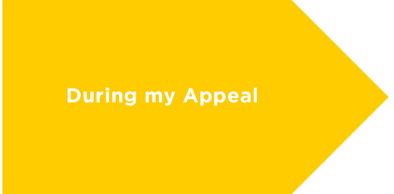 during my appeal