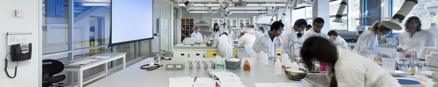 lab