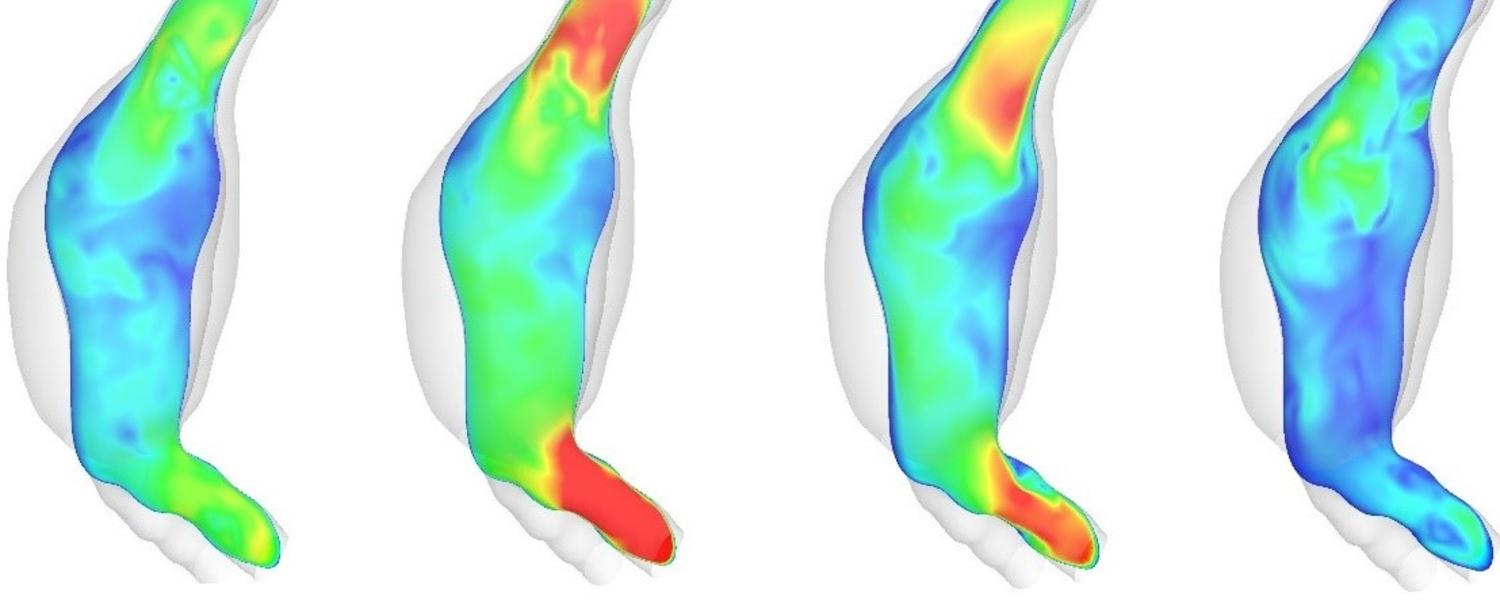 CFD-veloctity