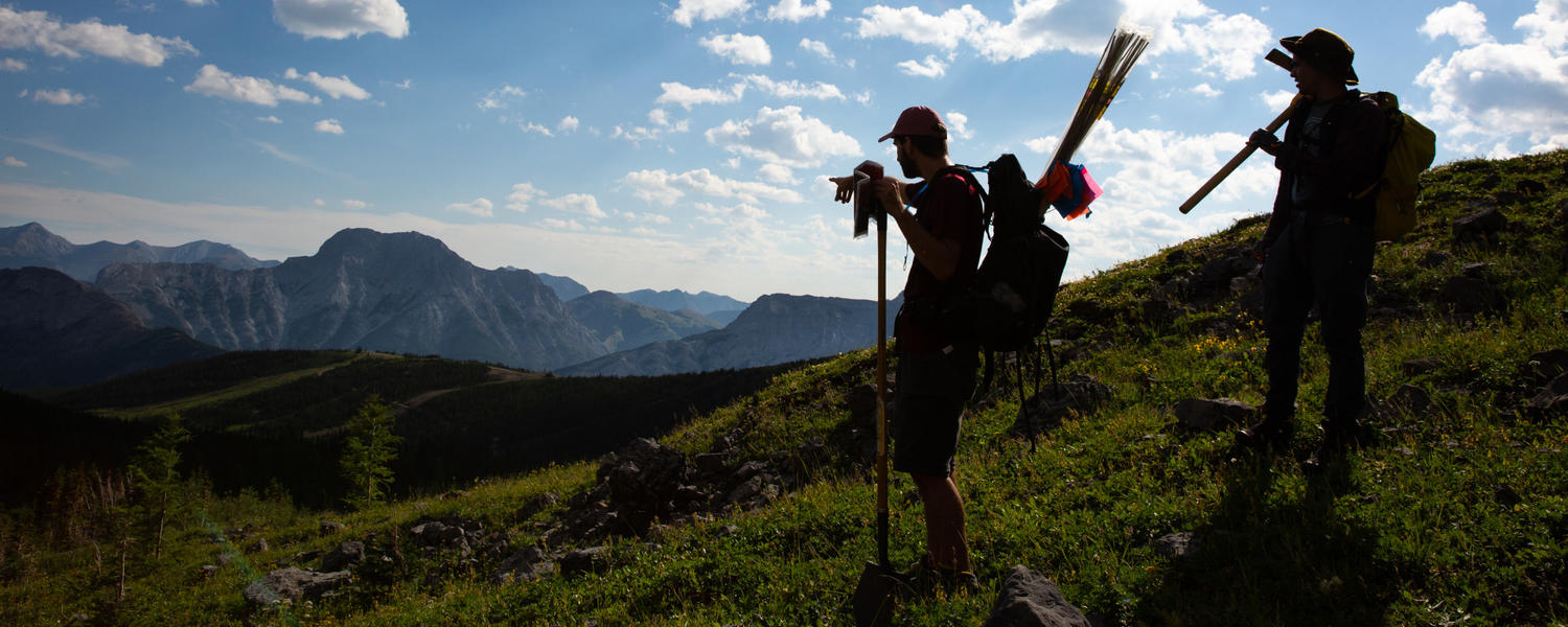 A silhouette of researchers in the Rocky Mountains.