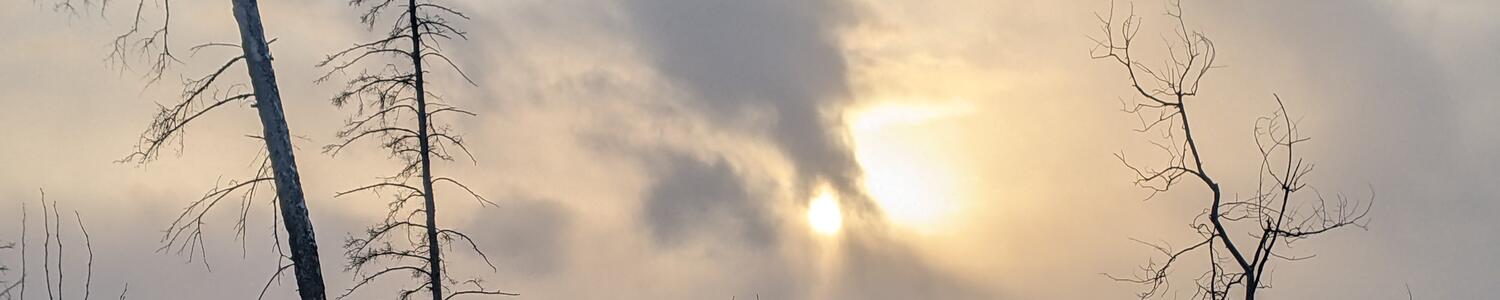 wintry river and cloudy skies with burned trees in the foreground in winter