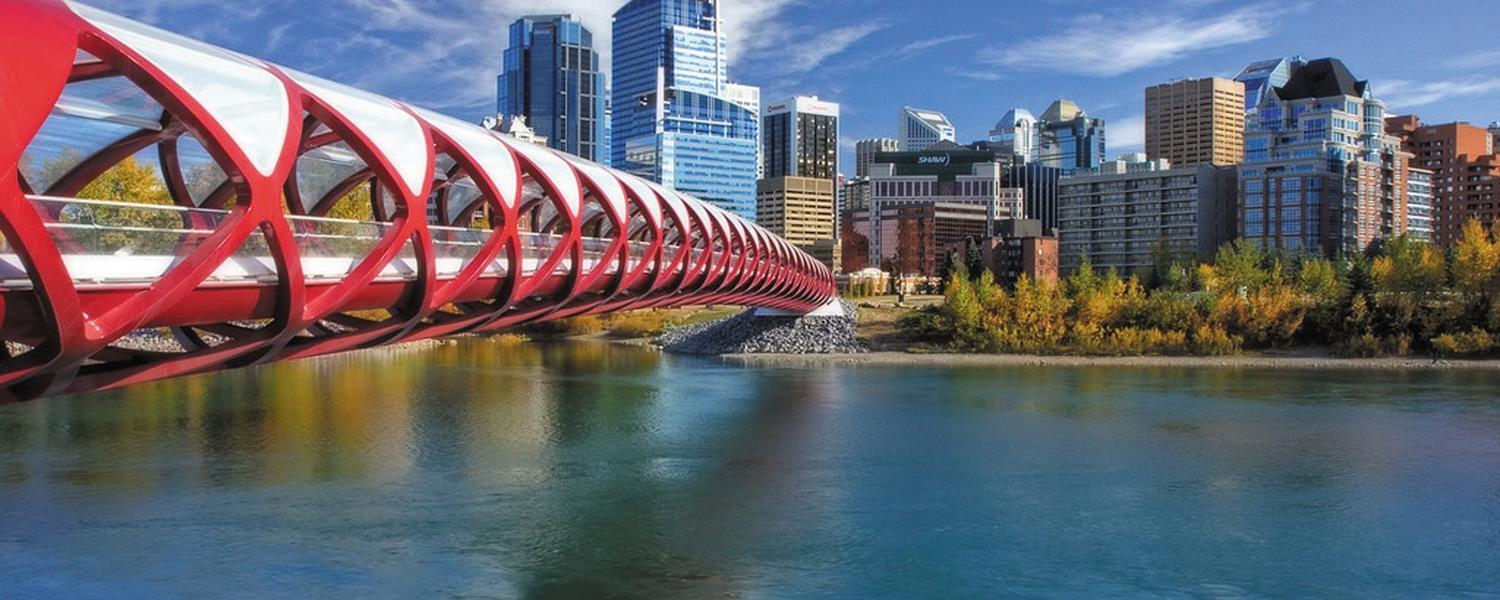 Image of the Peace Bridge across the Bow River in downtown Calgary