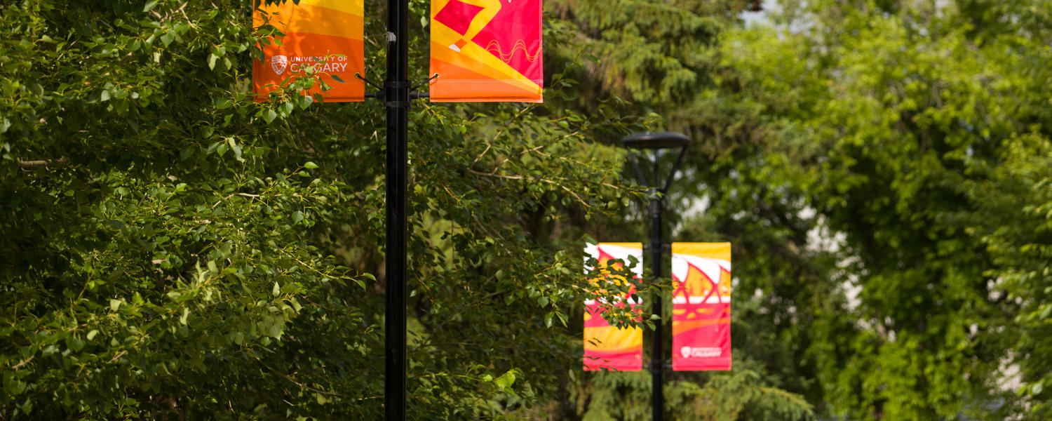 Our Organization | University of Calgary