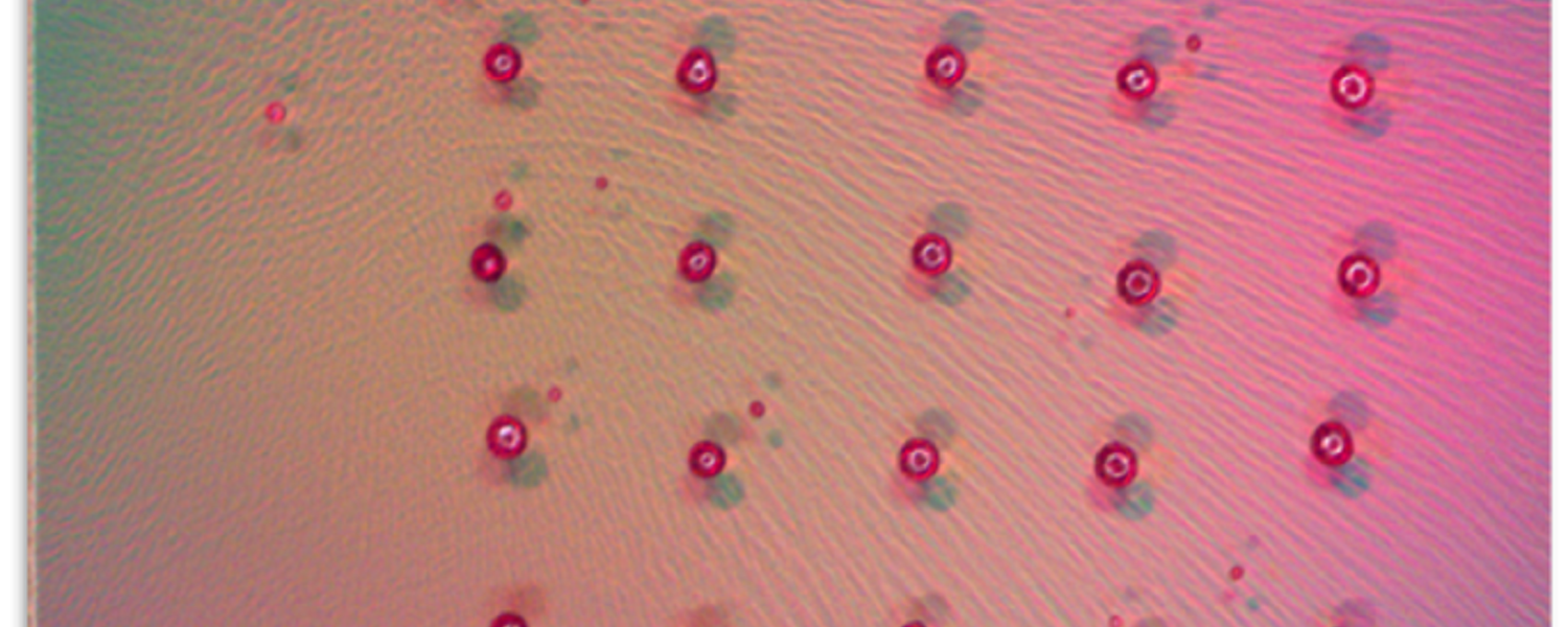 Tentative Filter Implementation 