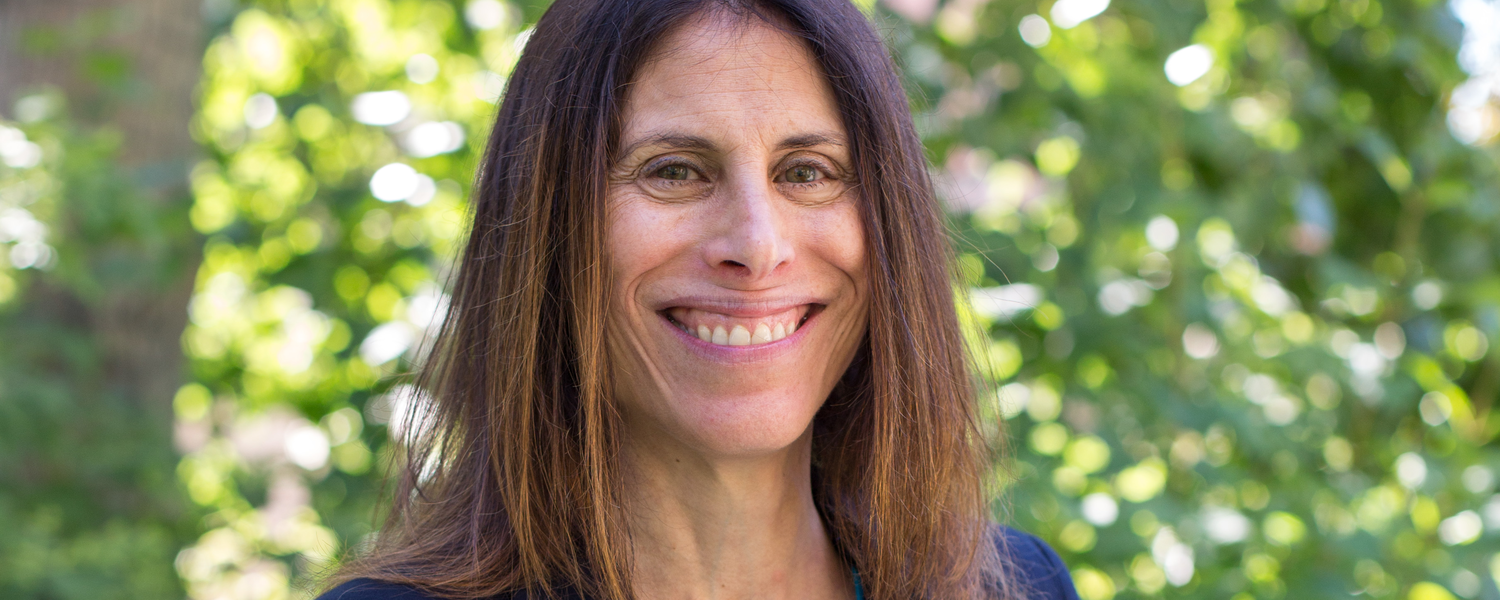 Lisa Silver, Faculty of Law