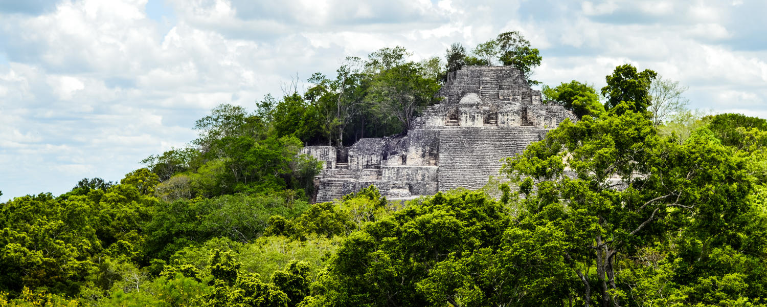 Image of a Mayan stone temple partially concealed by a vibrant green rainforest against a cloudy but blue sky (Structure 2 at Calakmul)