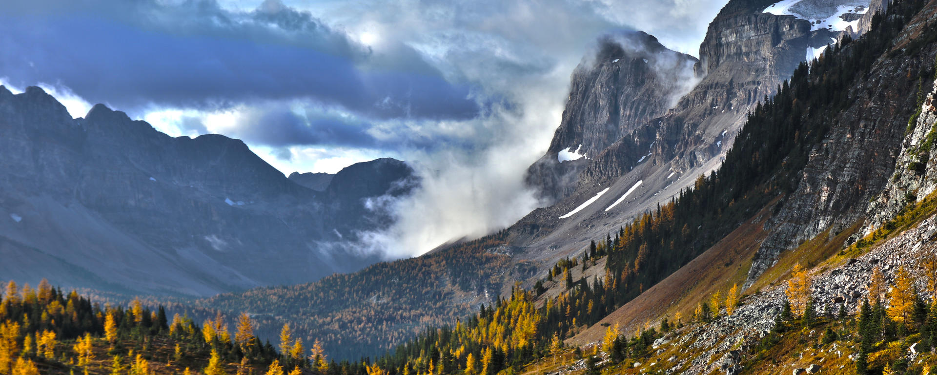 Larches in Marvel Pass, BC