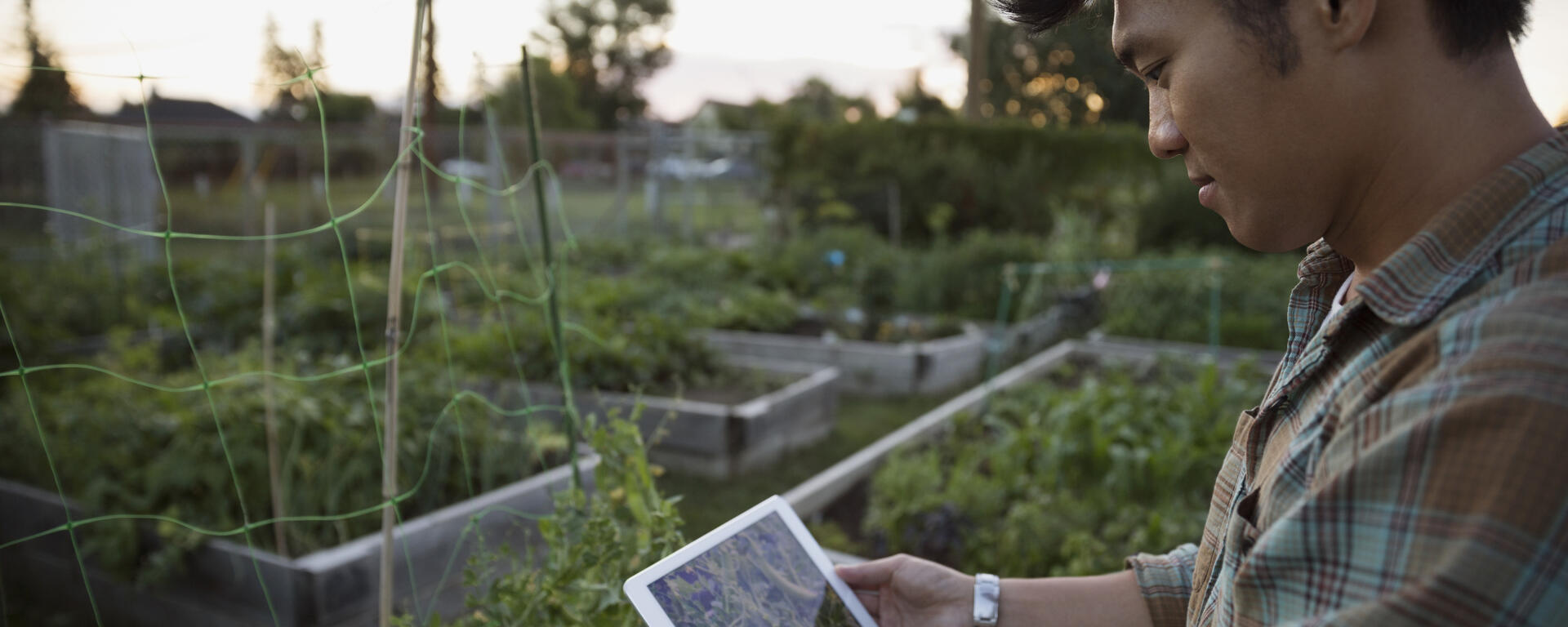 A young man uses a tablet to take a photo in a garden.