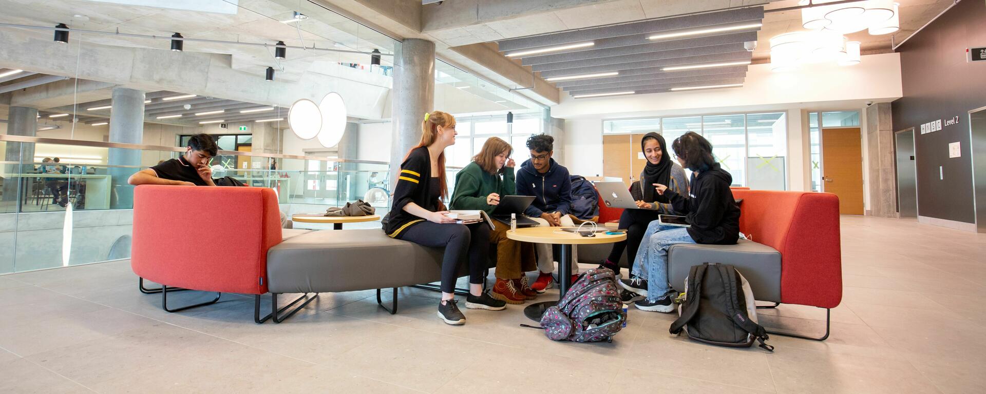 Students studying together