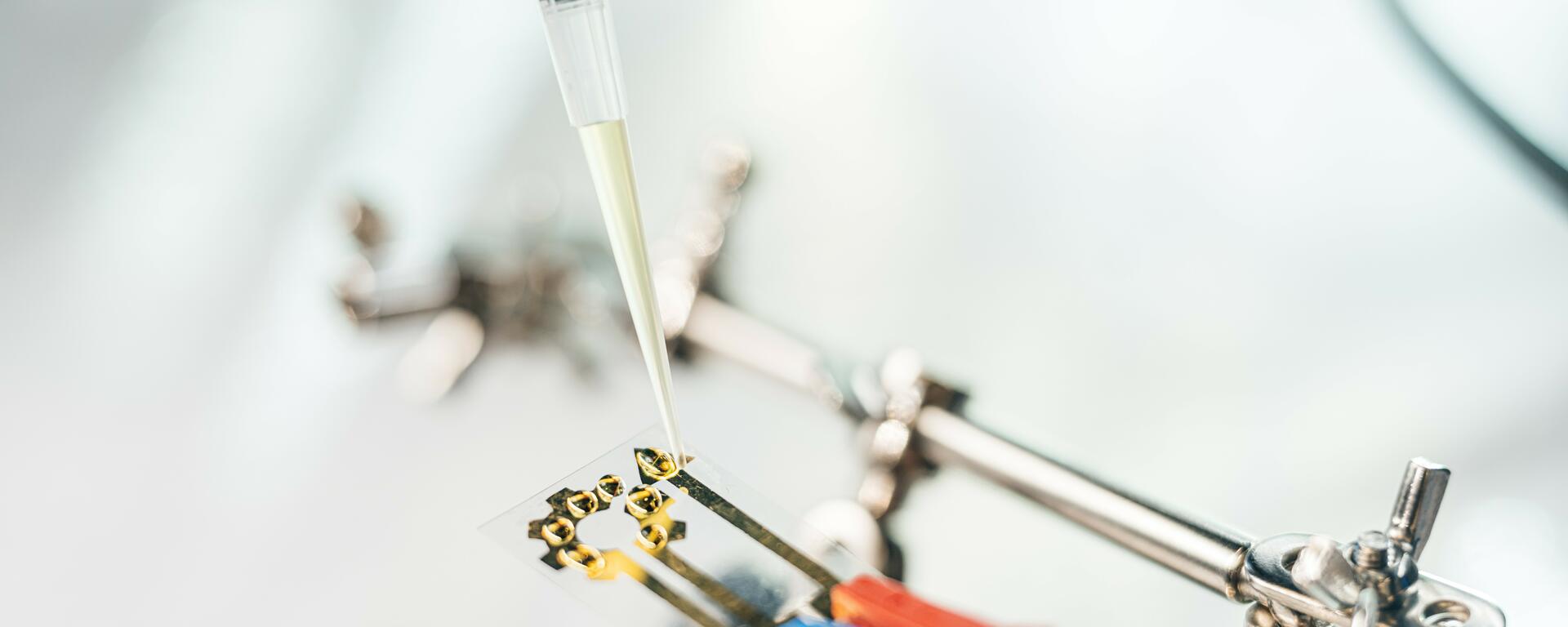 Electrochemical sensor with solution