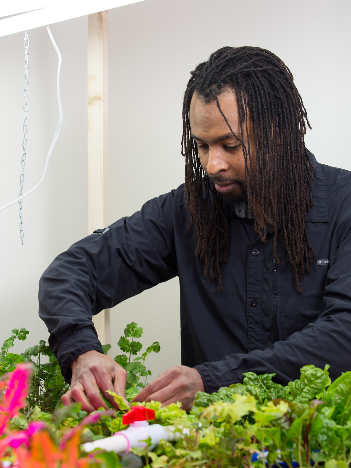 A student gardening plants