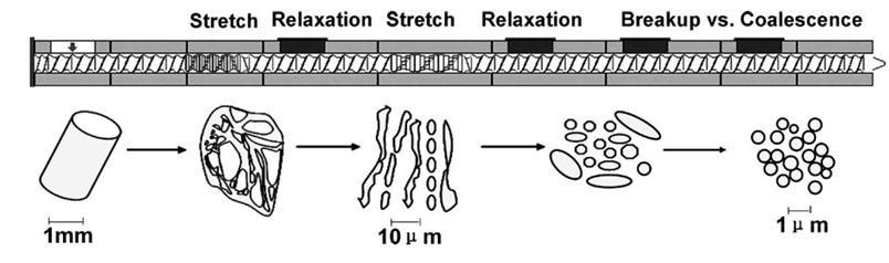 Extrusion Picture Mechanism of Morphology Generation