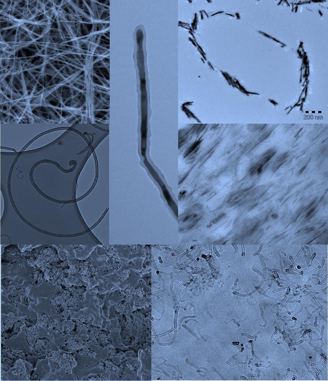 Electron micrograph of carbon nanotube and polymer nanocomposites Morphology of carbon nanotubes