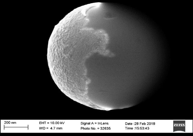 Pt-Si Janus Pt-Si Janus