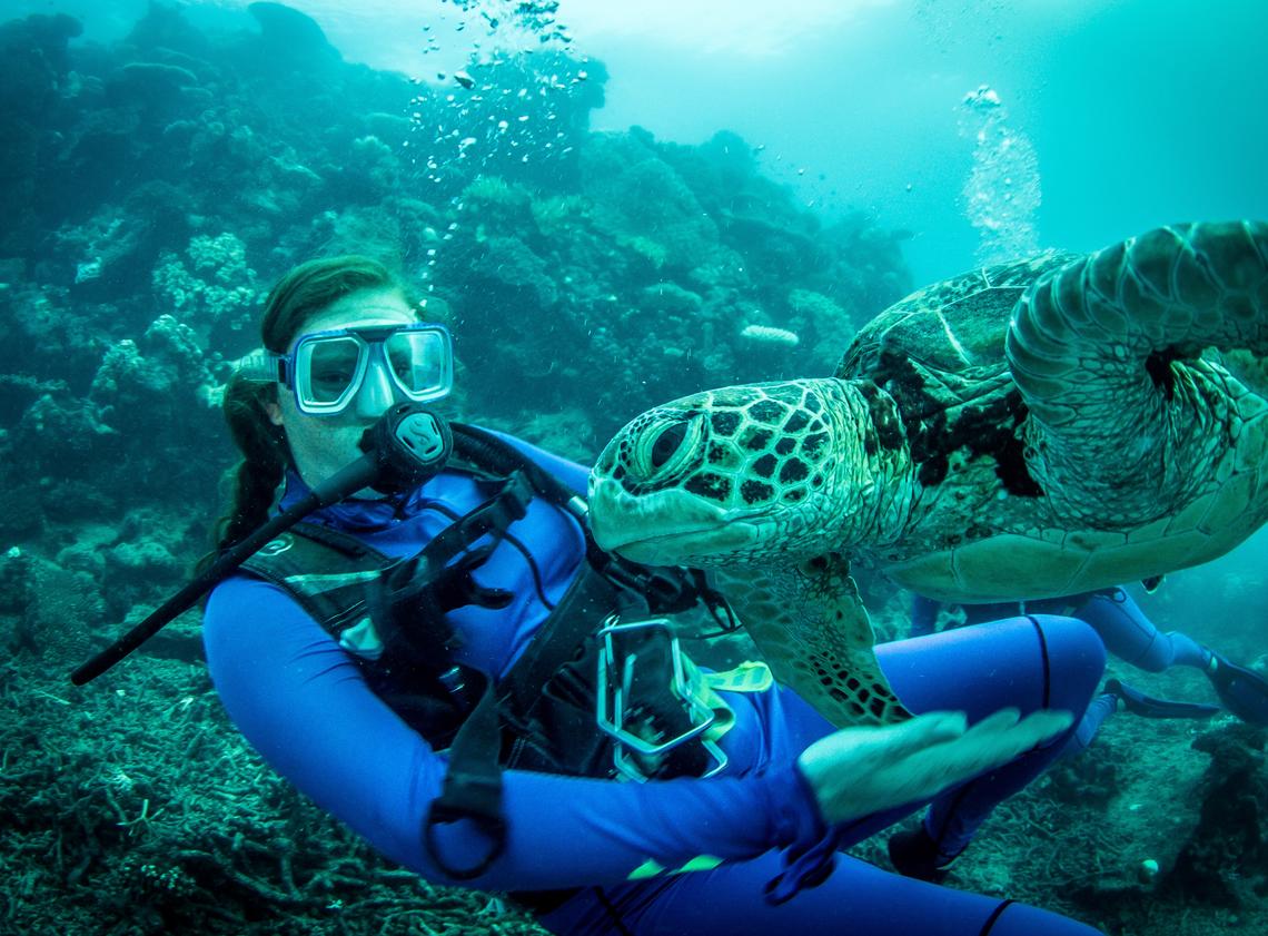 Shayla wearing a blue wetsuit and scuba diving with a sea turtle